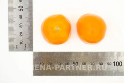 Томат Версаль - Партнер фото 5