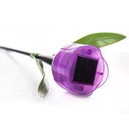 USL-C-453/PT305 PURPLE TULIP Садовый светильник на солнечной батарее Лиловый тюльпан. Белый свет. 1*LR аккумулятор в/к. IP44. TM Uniel. - Volpe фото 2