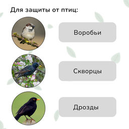 Сетка садовая, мягкая, 10×4 м, ячейка 15×15 мм, от птиц, Greengo