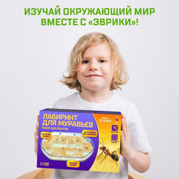 Набор для опытов Лабиринт для муравьёв - Эврики фото 5