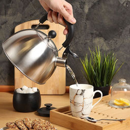 Чайник нерж 2,5л со свистком, пластик.ручка черная Daniks MSY-021M (218490)