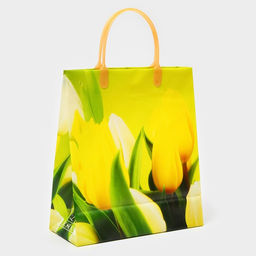 Цена за 10 шт. Пакет «Яркая композиция», мягкий пластик, 26×23 см, 100 мкм