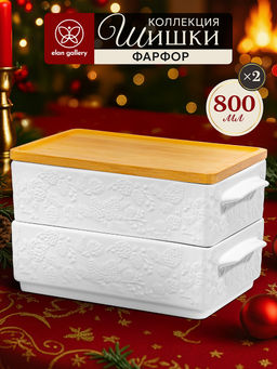 Набор 2 блюд д/холодца 1,6 л 20.5*12*12 см "Шишки" + бамбуковая крышка