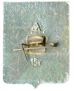 Значок Владимир