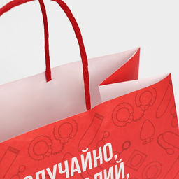 Цена за 2 шт. Пакет подарочный, упаковка, Секси, 22?22?11 см