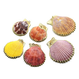 Подвеска Ракушка морского гребешка 30*35мм цвет радужный