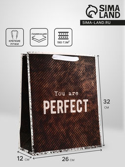 Пакет подарочный вертикальный YOU are PERFECT, 26?32?12 см