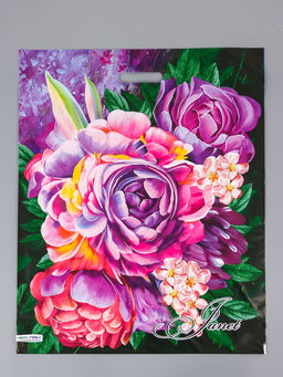 Цена за 25 шт. Пакет Жанет, полиэтиленовый с вырубной ручкой 50?60 см, 100 мкм