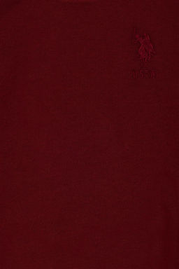 U. S. Polo Assn Детский бордово-красный базовый свитшот с круглым вырезом - U.s. polo assn фото 6