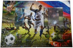 Альбом для монет и банкноты серии Чемпионат Мира по футболу в России