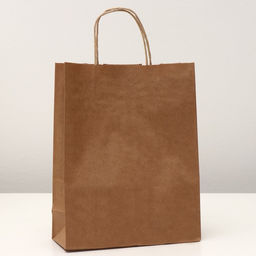 Цена за 20 шт. Пакет крафт без печати 24 х 11 х 32 см