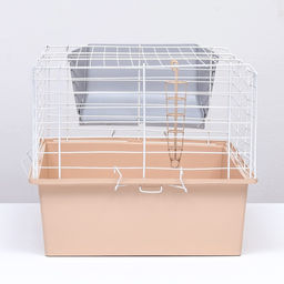 Клетка для грызунов Пижон №1 складная, 58 х 40 х 34 см (+миска, 2 кормушки), бежевая  фото 2