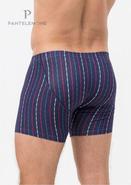 Трусы шорты удлиненные мужские PMHL-1476 - Pantelemone фото 2