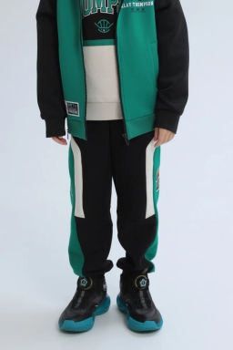 Брюки трикотажные Черный - Anta sport фото 4