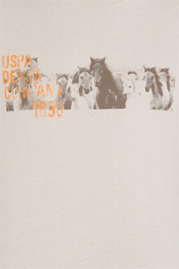 Мужская футболка с круглым вырезом Stone Stone - U.s. polo assn фото 12