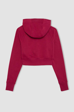 Укороченный толстый свитшот DeFactoFit с капюшоном и двойным карманом на молнии фото 10