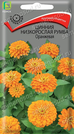 Цинния низкорослая Румба Оранжевая (ЦВ) ("1) 0,1гр