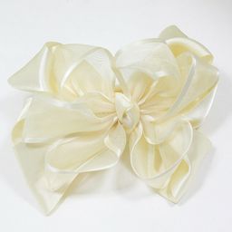 Зажим для волос Z653700075