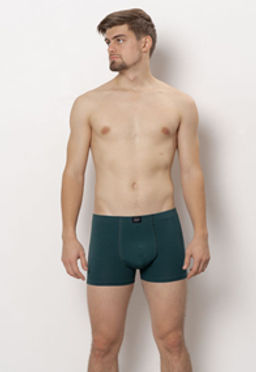 ТРУСЫ МУЖСКИЕ арт. 6523M-40010.1L-718