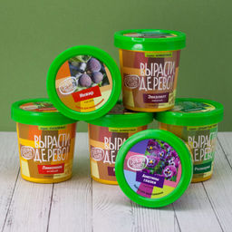 Набор для выращивания "Кофе арабский"