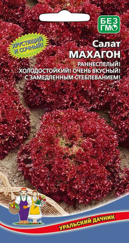 Салат МАХАГОН  Хрустящий и очень сочный! Раннеспелый, холодостойкий сорт! Долго не образует стебля!