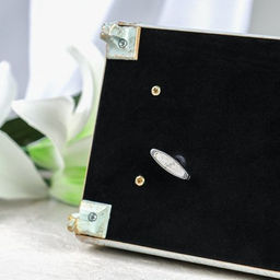 Шкатулка музыкальная / 63311L /уп 36/пластик - Галеонтрейд фото 8