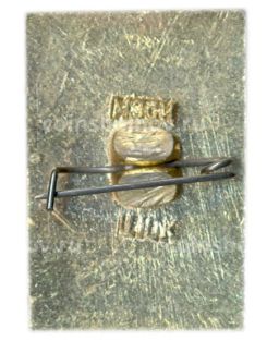 Значок Владимир