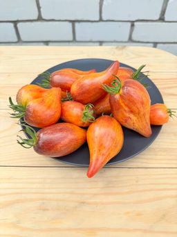 Сладкая карамель Софии НОВИНКА 2025 года!