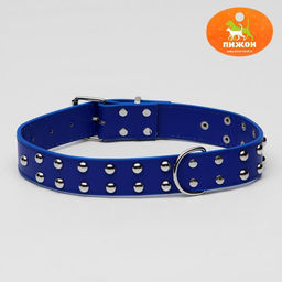 Ошейник клёпаный в 2 ряда, 65 х 3,4 см, ОШ 50-60 см, синий
