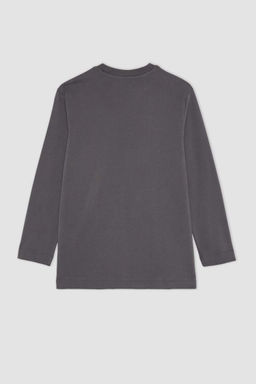 Футболка-туника с длинными рукавами из чесаного хлопка с круглым вырезом и вышивкой обычного кроя - Defacto фото 10