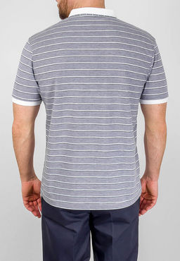 Джемпер мужской с воротником поло короткий рукав GREG G144-ZH-2 (серый м.)  фото 2