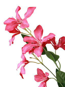 Цветы искусственные «Баухиния пёстрая», d=13 см, h=71 см, малиновые