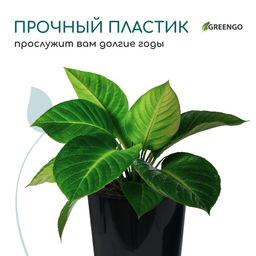Цена за 5 шт. Горшок для рассады, для роз, 2 л, d = 14 см, h = 18 см, пластик, чёрный, Greengo