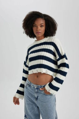 Regular Fit Bisiklet Yaka Triko Kazak