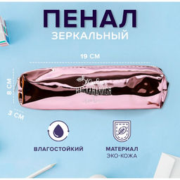 Пенал школьный, искусственная кожа «Живи, наслаждайся, люби» 8×19×3 см