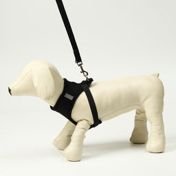 Комплект амуниции с мягкой шлейкой и светоотражающей нашивкой, L, ОШ 33 см, ОГ 36-48 см, чёрный 7614