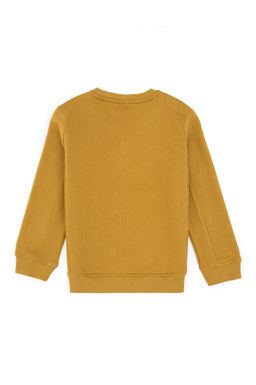 Erkek _ocuk Hardal Bisiklet Yaka Sweatshirt - U.s. polo assn фото 2