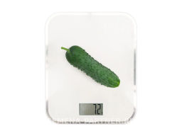 Огурец партенокарпический Шторм - Партнер фото 7