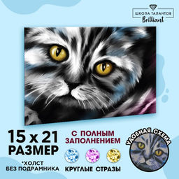 Алмазная мозаика с полным заполнением на холсте «Кот», 15×21 см