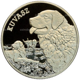 Монета 3000 форинтов 2025 года Венгрия Венгерская порода собак  Куваш