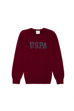 U. S. Polo Assn Бордовый трикотажный свитер с круглым вырезом для мальчика