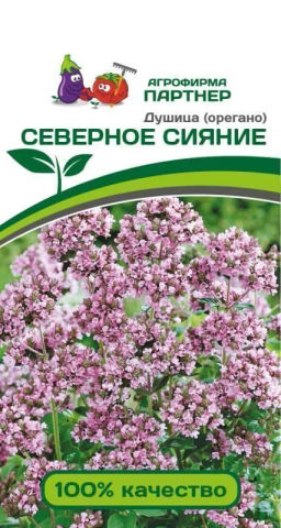 Душица (орегано) Северное Сияние