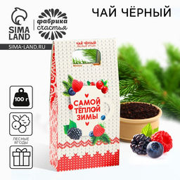 Чай новогодний Самой тёплой зимы, со вкусом лесных ягод, 100 г