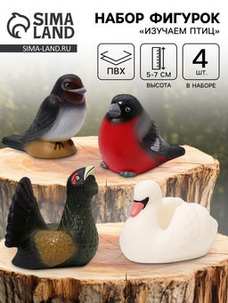 Фигурки «Изучаем птиц. Коллекция 1», набор 4 шт.