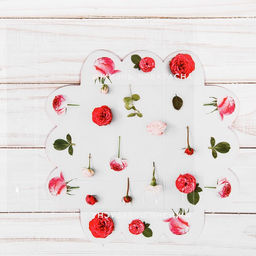 Цена за 5 шт. Коробка для печенья, кондитерская упаковка с PVC крышкой, «Жизнь прекрасна», 10.5 х 10.5 х 3 см