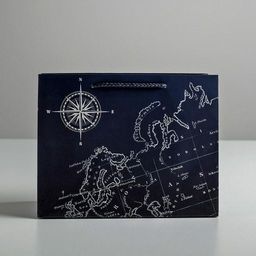 Пакет ламинированный горизонтальный Путеводитель, ML 27 23 11,5 см - Дарите счастье фото 7