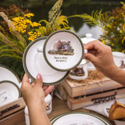 БУЛЬОННИЦА С БЛЮДЦЕМ LEFARD FAMILY HOUSE 250 МЛ 15*6 СМ (КОР=16НАБ.)  фото 8