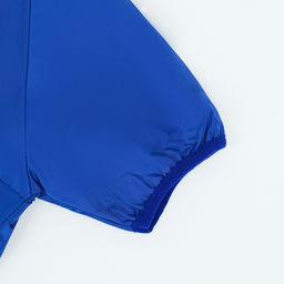 Комбинезон для собак, демисезонный с подкладом, размер ХS (ДС 22, Ог 34 см), синий - Simaland фото 28