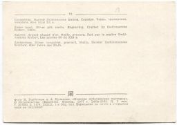 Открытка Сахарница.Местер Гаджимамма Кишев.Серебро.Чернь, гравировка,позолота .60-е годы XX века