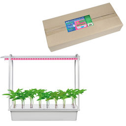 ULT-P44B-10W/SPSB IP40 AQUA SIMPLE WHITE Набор для гидропоники "Минисад AQUA SIMPLE", светильник для растений светодиодный с подставкой. Спектр для рассады и цветения. Белый. TM Uniel